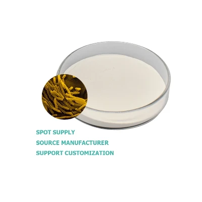 Bacillus spporidia